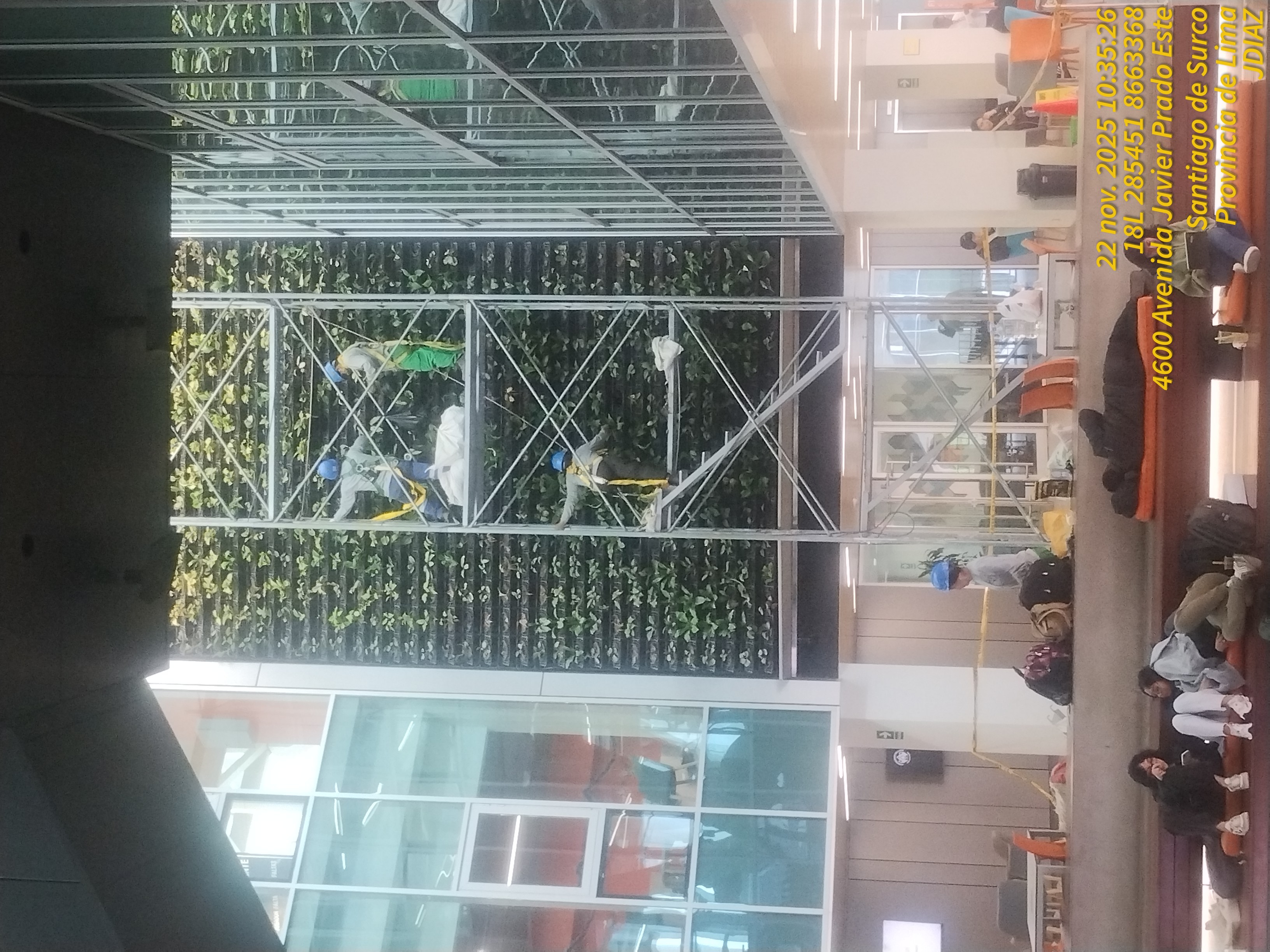 JARDINES VERTICALES